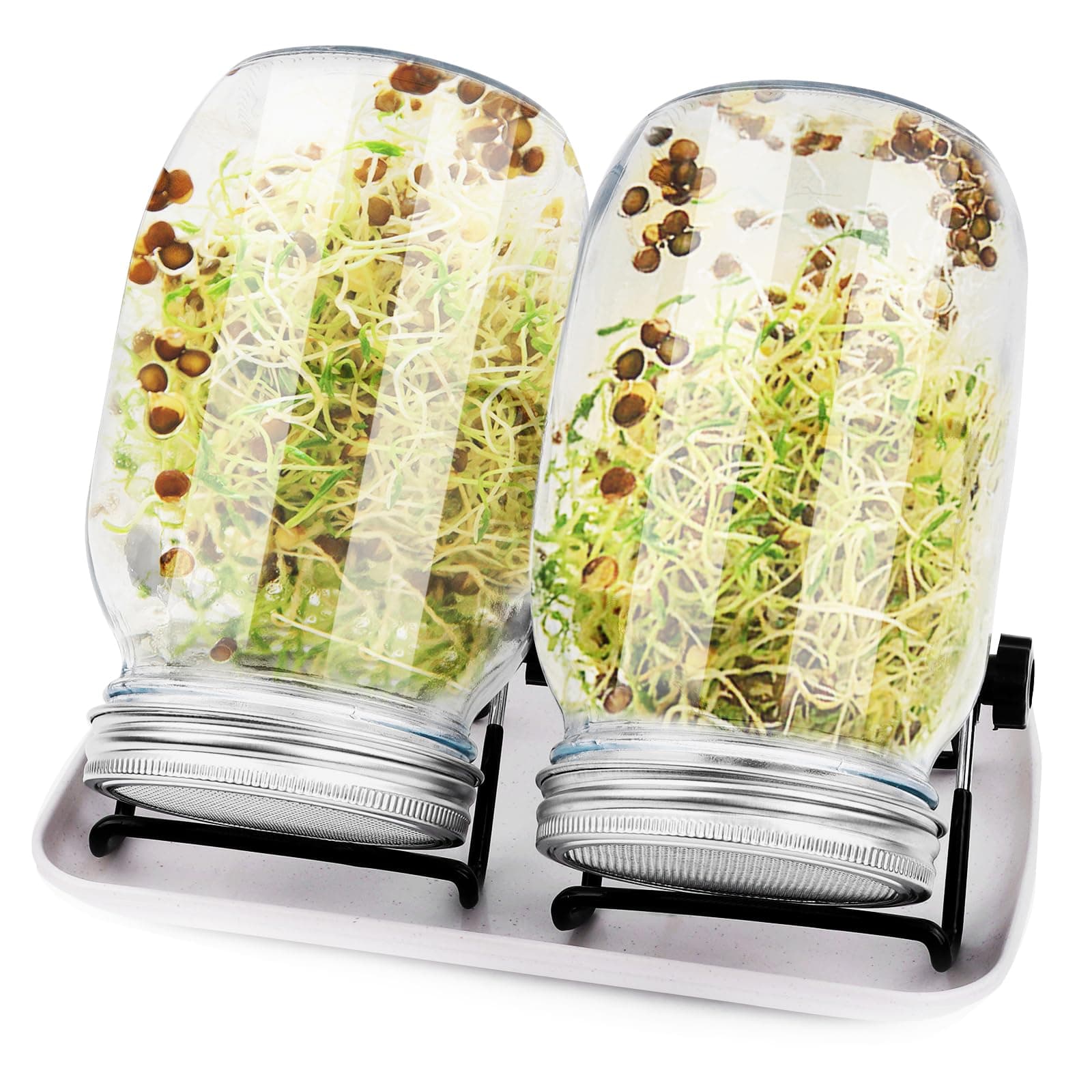 Sorliva Sprossenglas Keimglas 2er Set 1000ML Keimgerät mit Deckel Ständer und Abtropfschale Microgreen Alfalfa Samen