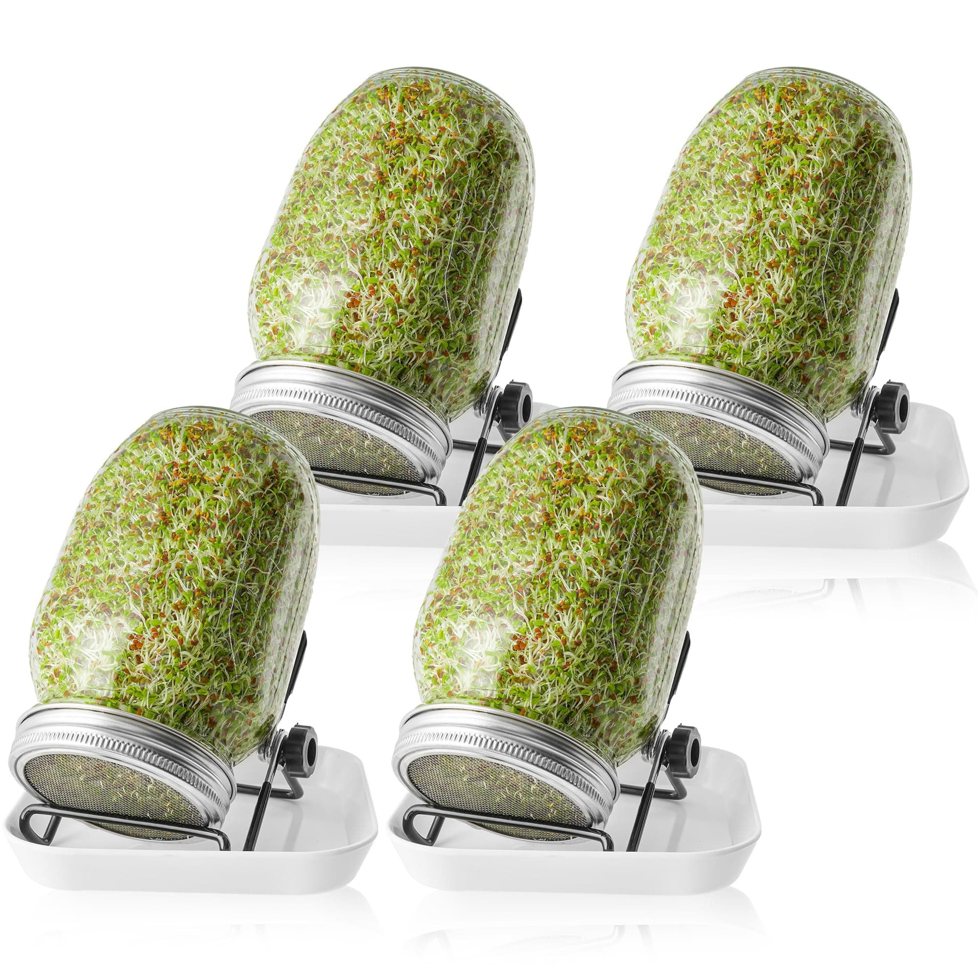 Sprossenglas Set 4er-Set 1000ml Keimglas mit Deckeln und Haltern und Schalen für Sprossenzucht und Keimung von Samen (4)